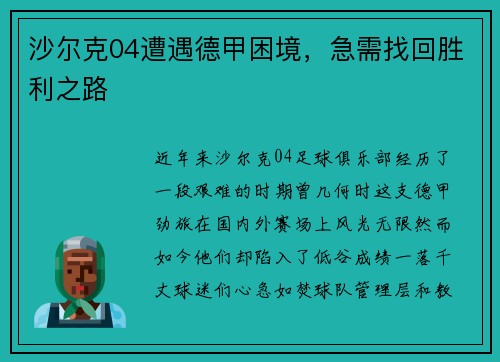 沙尔克04遭遇德甲困境，急需找回胜利之路